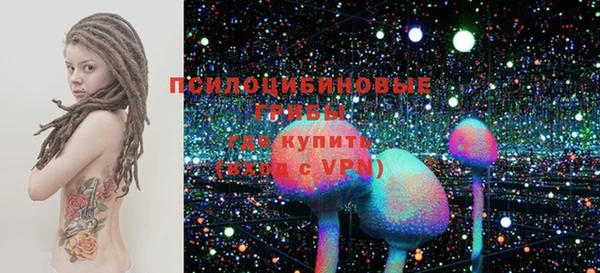 МДПВ Арсеньев